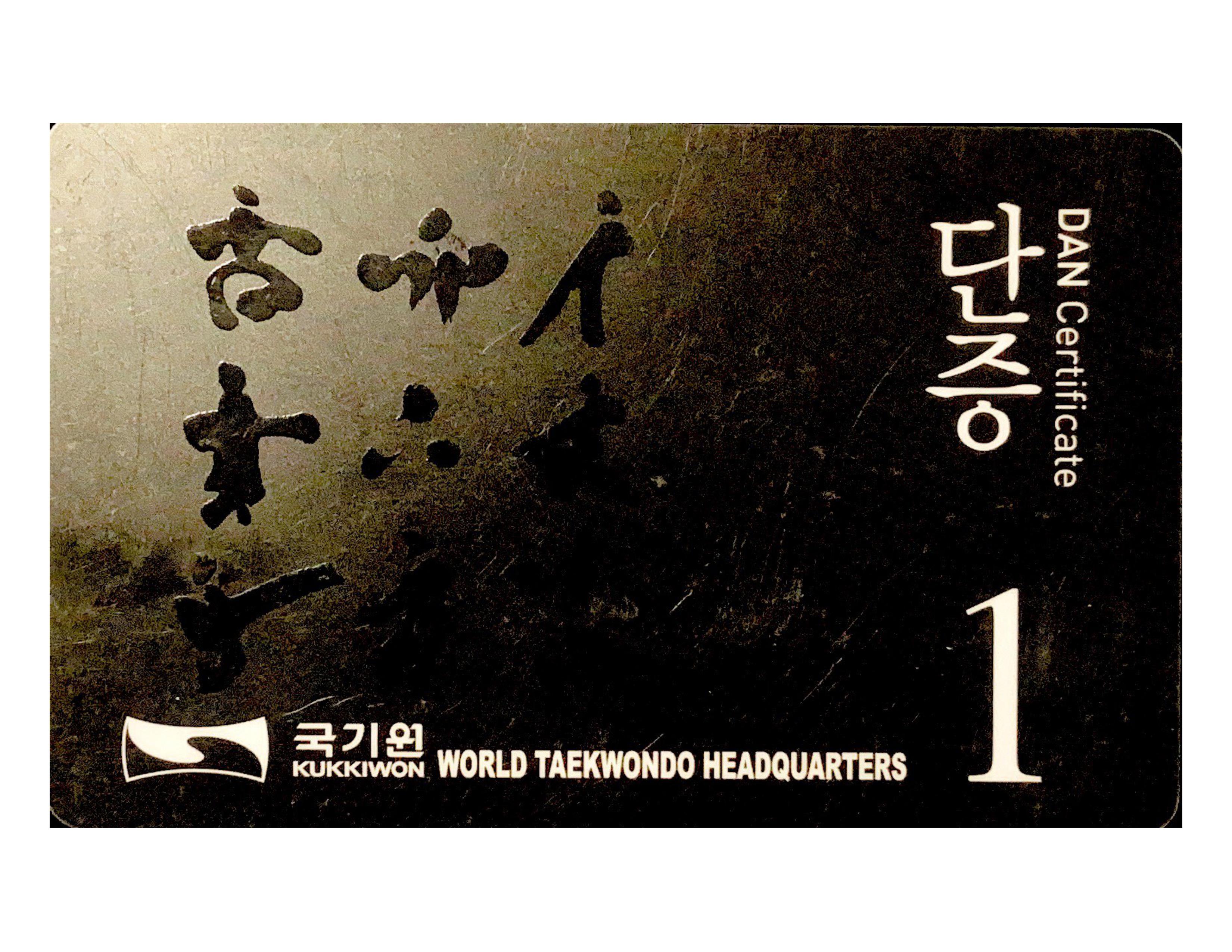 DAN 1 Grade Certification Front